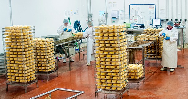Day 12 – Visit to E. Graindorge Fromagerie in Livarot, France