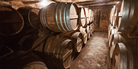 Day 30 – Cognac Tasting at Brard-Blanchard, Poitou-Charentes, France