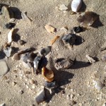 Agate and amber all along the beach.