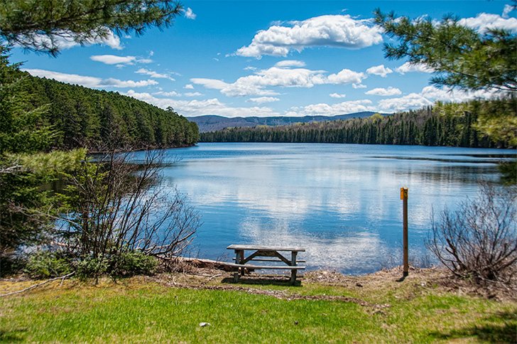 A slightly wet spot of a picnic or a lazy fisherman's spot at Bathurst Lake. 